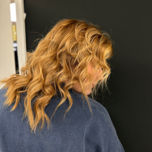 Highlights