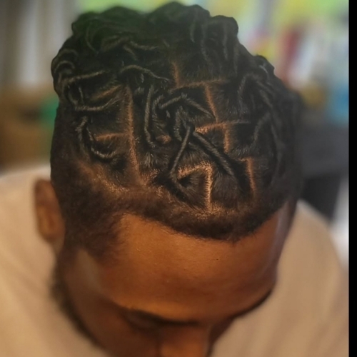 Starter locs 