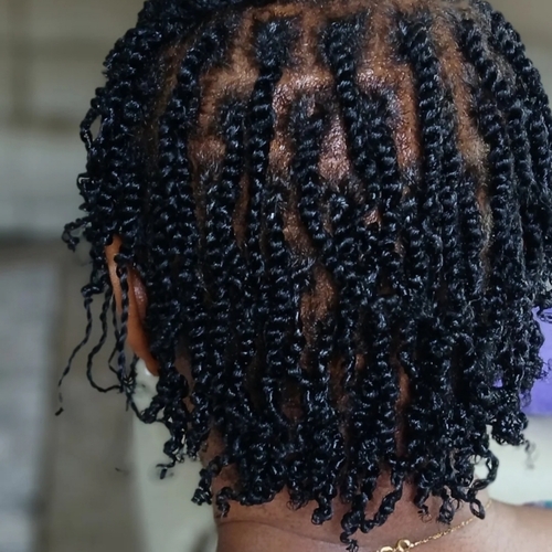 Two strand twist with natural hair/no hair included 