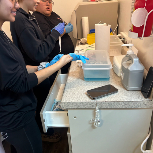 Proper sanitation and sterilization 