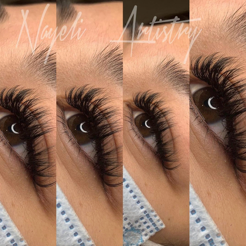 Volume Lashes