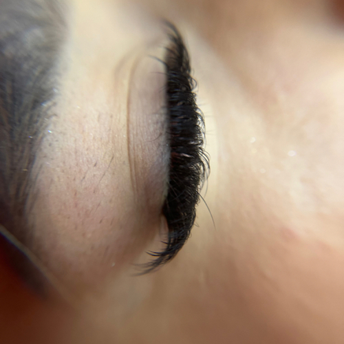 Volume Lash Extensions by The Empress Lash Bar Richardson TX