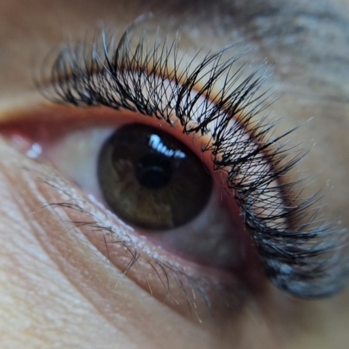 Lashes