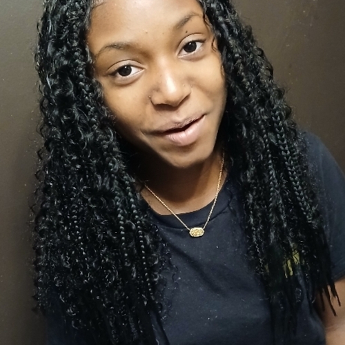 Hobo braids over sister locs