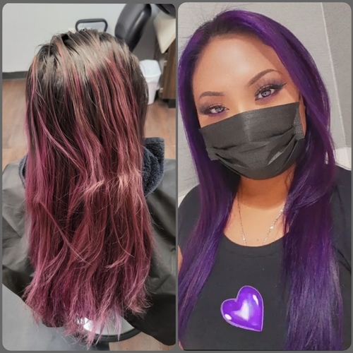 Bold Purples 