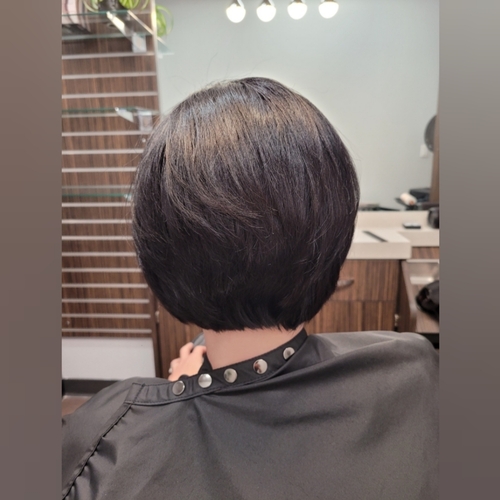 A-Line Cut (back)