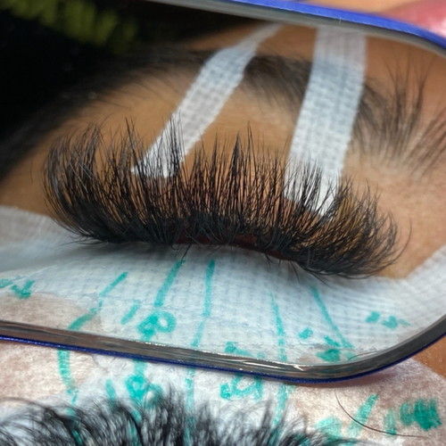 Volume Lash Extensions 