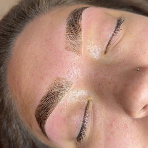 Eyebrow Lami X Tint X Thread 