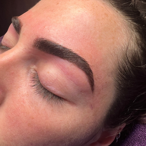 The Brow Shape & Stain 