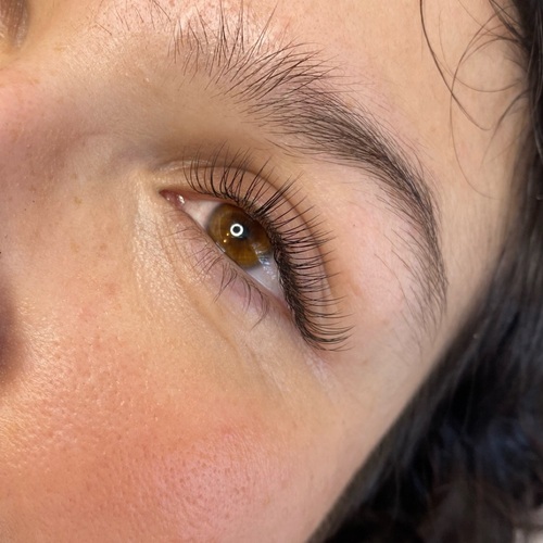 Classic Lashes