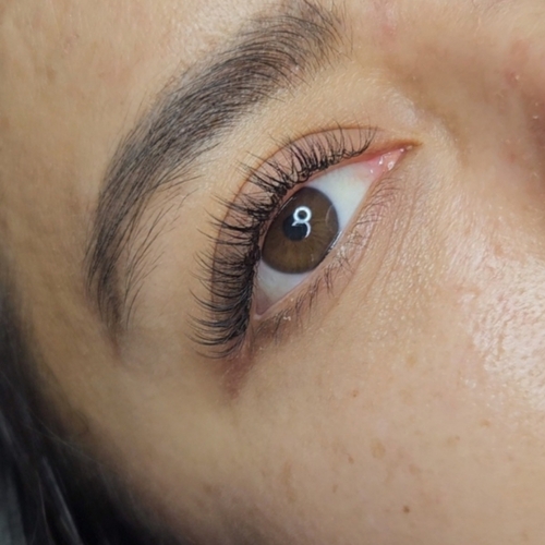 Lashes