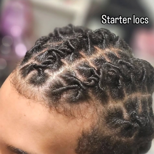 Starter locs 
