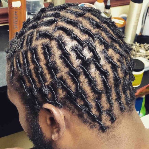 Starter Locs 