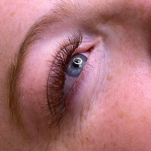Brown Hybrid Full Set