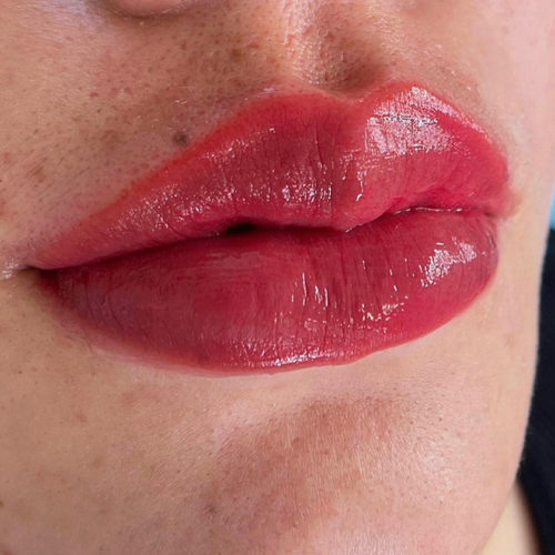 LipBlush Permanent Makeup after initial appointment 