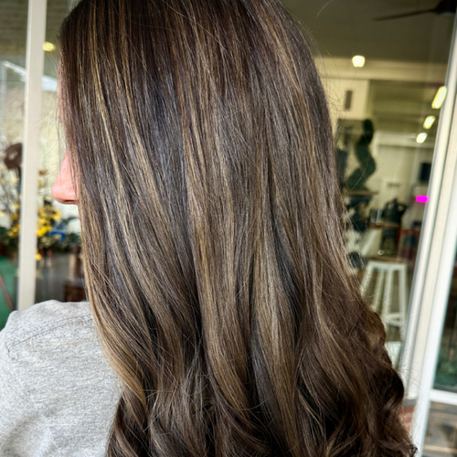 Highlights 