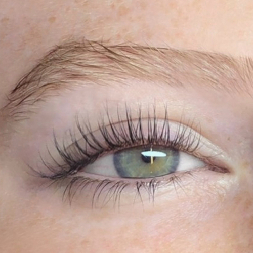 ✨ lash Classic ✨