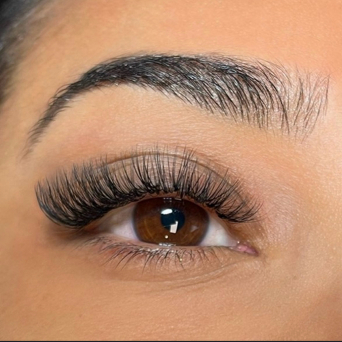  ✨extensions lashes 6D volume✨