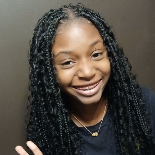 Hobo braids over sister locs