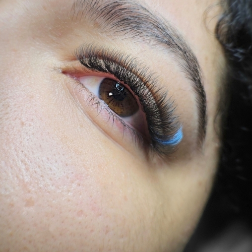 Lashes 