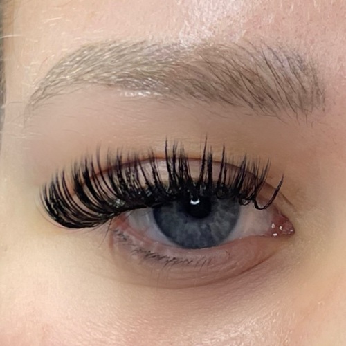 Classic Wet Set Lashes 