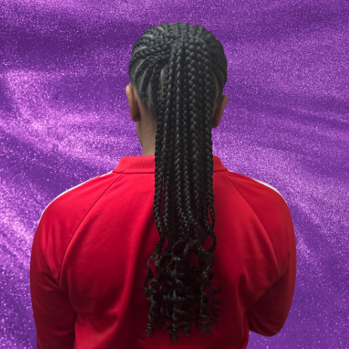 Braided Ponytail Style