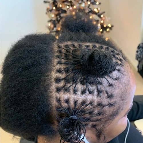 Micro sister locs 