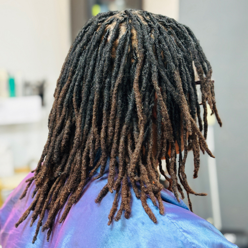 Loc retwist