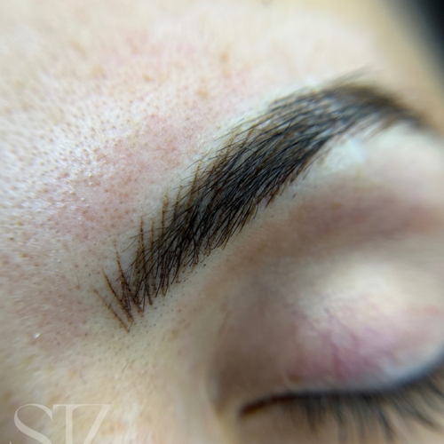 Nano brows