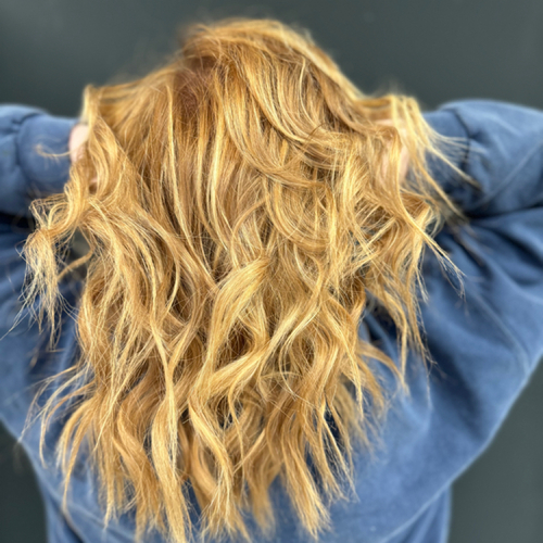 Highlights
