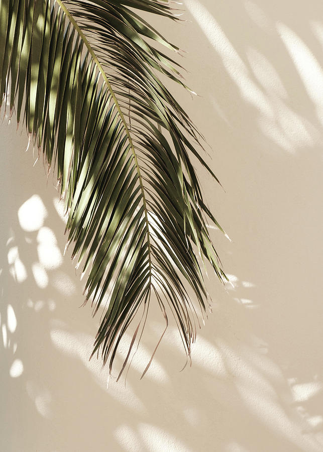 Bombshell Blowout Bar