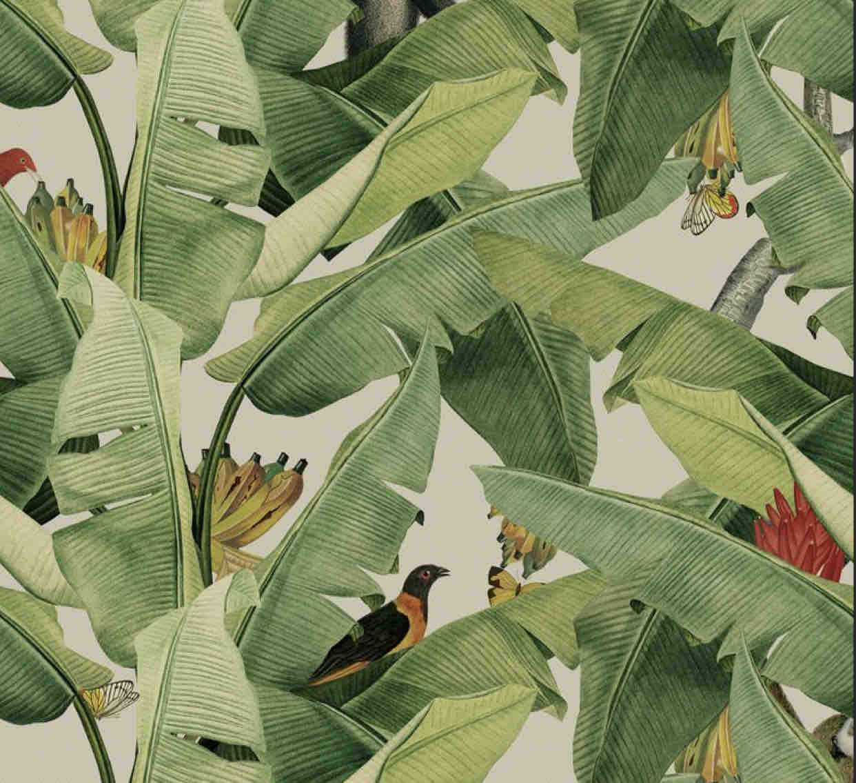 Megan Shores Hairstylist