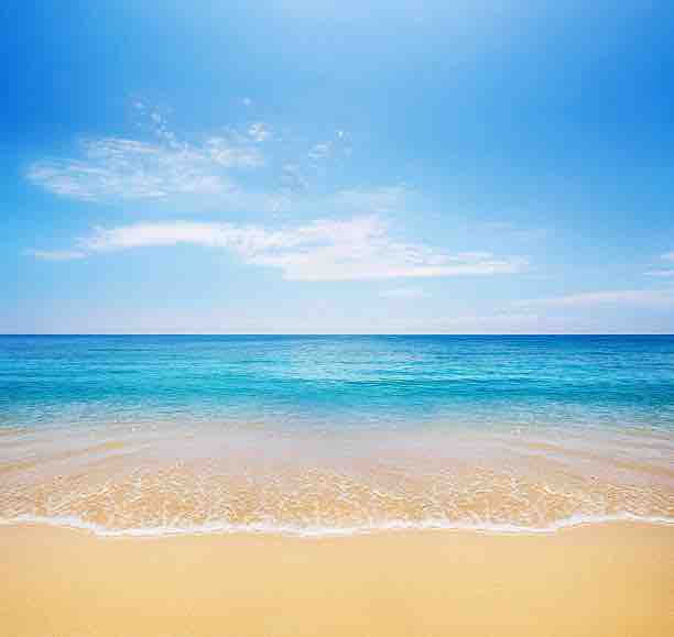 Elena Jacinto and Associates