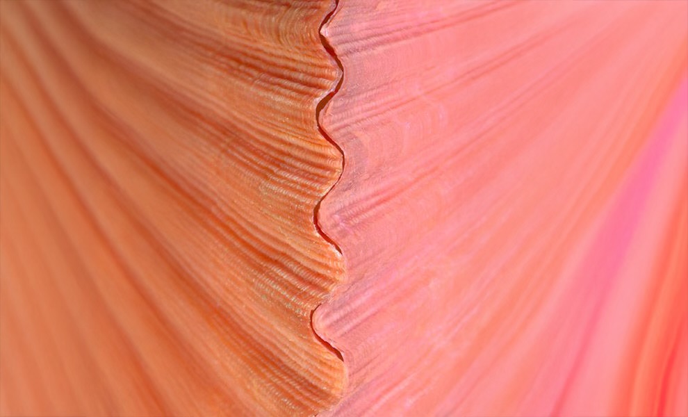 Ashley's Glam Lounge