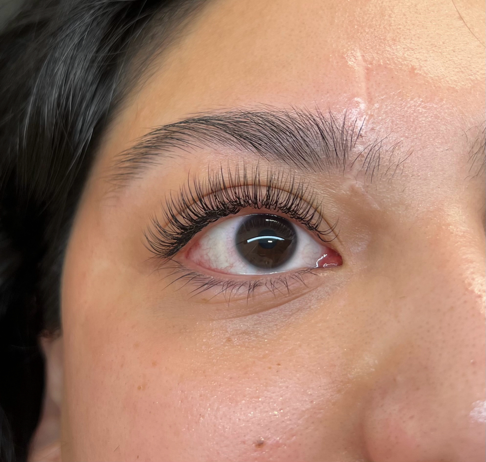 3 Week Classic Fill