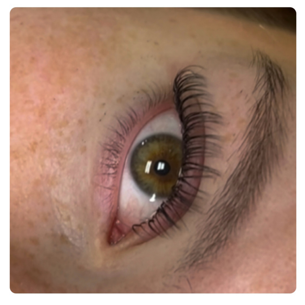 Wet Set Full Set -Lashes