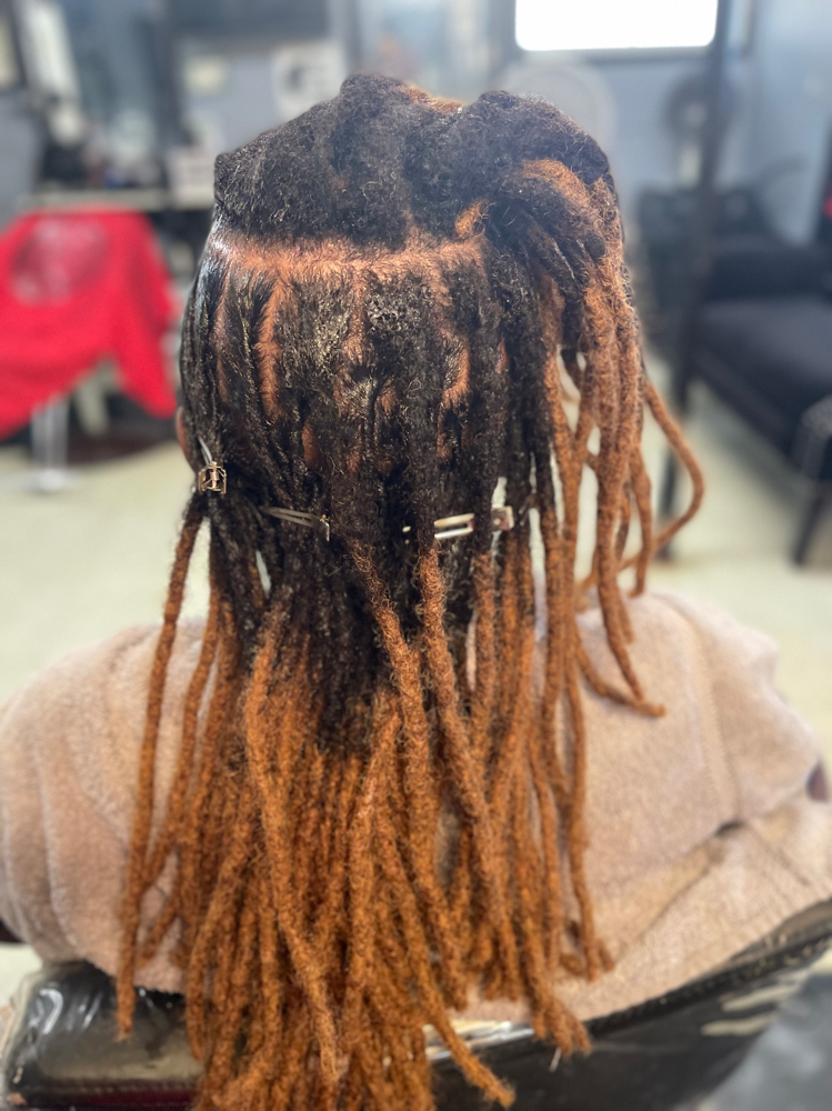 Dread Loc (Retwist Only)