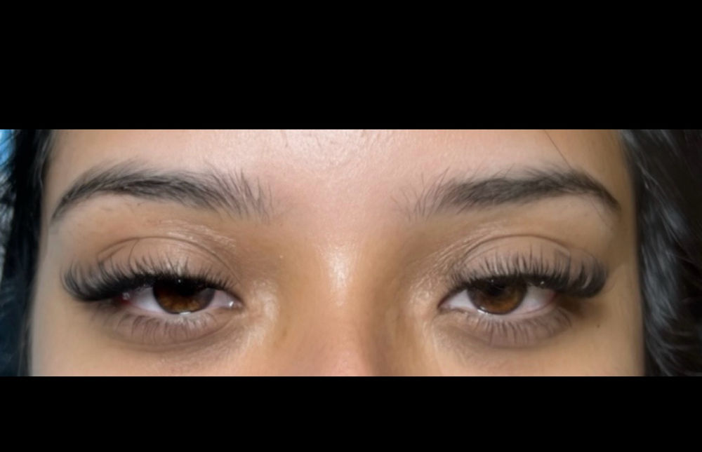 Volume Lash Fill W/Alexis