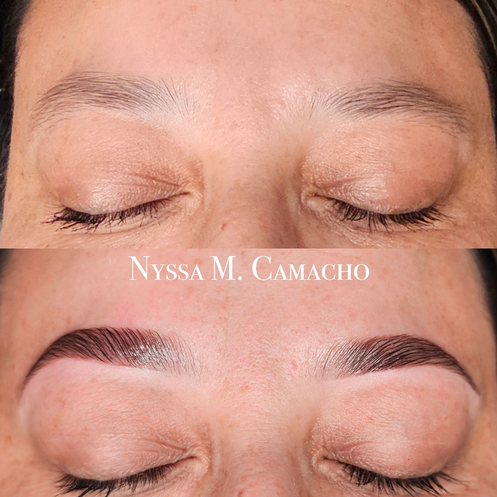 Full Brow Bundle Lami, Tint & Threa at Nyssa M Camacho in Nampa, ID