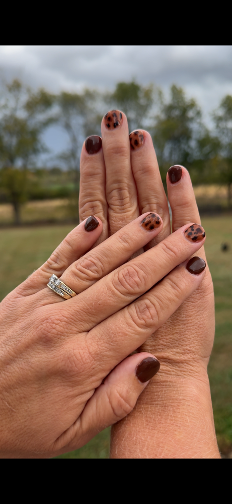 builder gel at Al styles it all in Logansport, IN