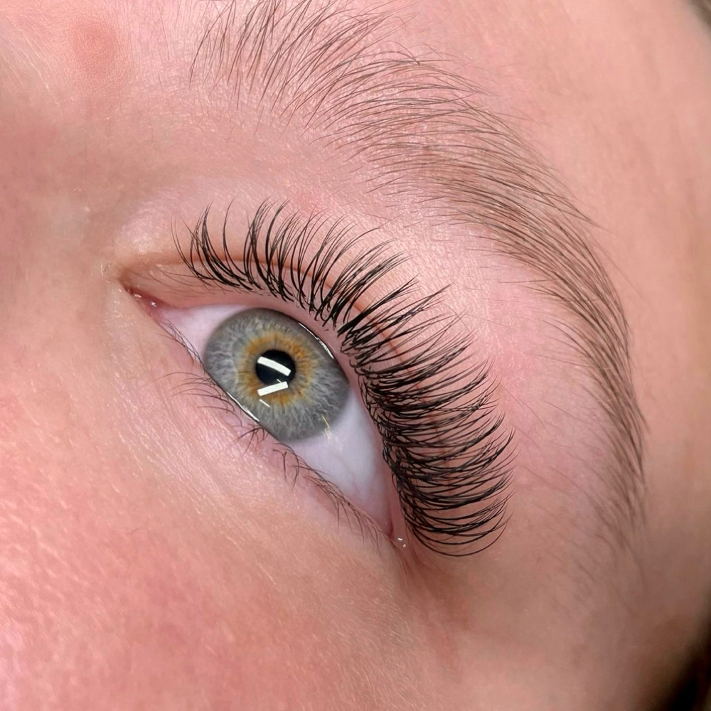 3 WEEK Classic Fill at Lashed x Taylor in Savannah, GA