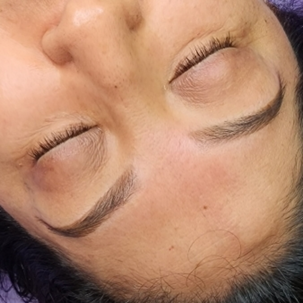 Eyebrow Tinting/hybrid and Cleanup at MetamorphosisBrows and SMP in York, PA