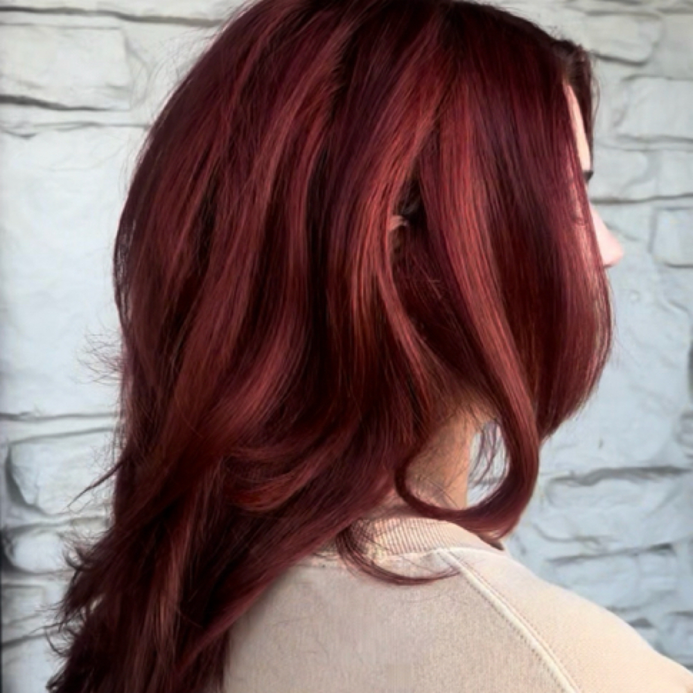 All Over Color ✮˚.⋆ at Heavenlyhairbylivi in Loretto, TN