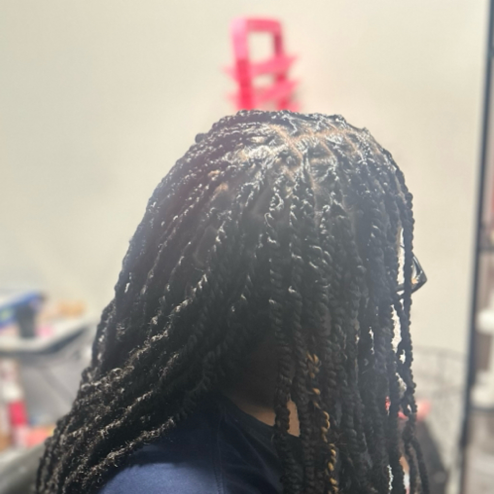 Small Twist With Weave at braidedbyniya in fayetteville, NC
