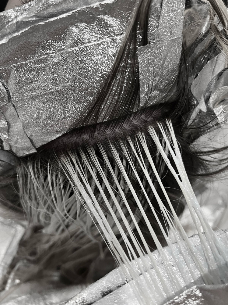 Simple Partial Highlight & Haircut at inmegschair in Jacksonville, FL