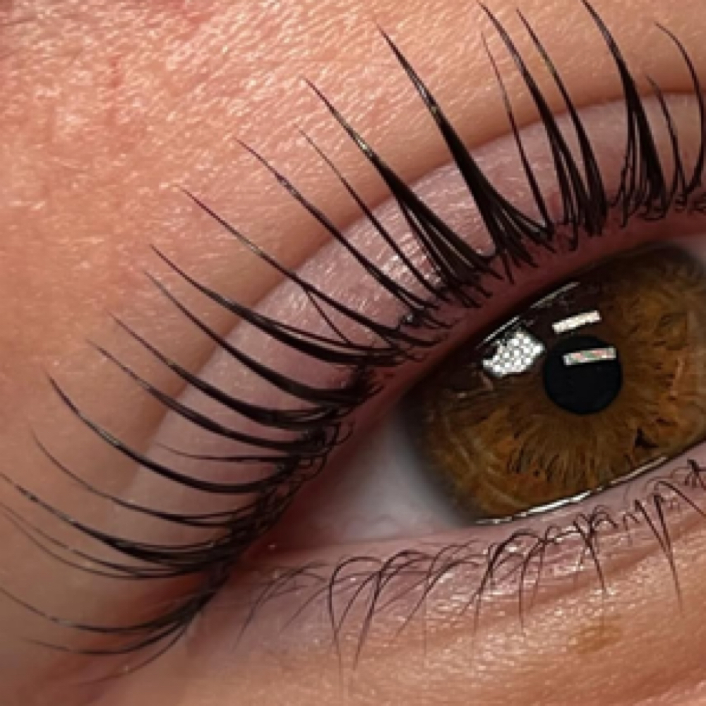 Lash Lift at Love Lash By Thalia in Tampa, FL