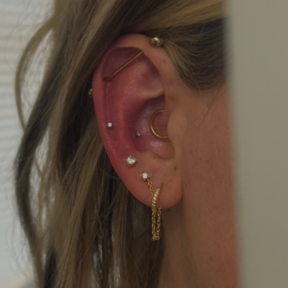 tapering / jewelry insertion at Mallory Banks in Lafayette, IN