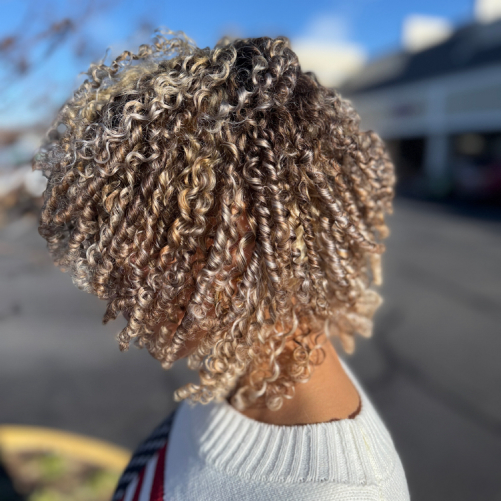 Curly/Specialty Cut