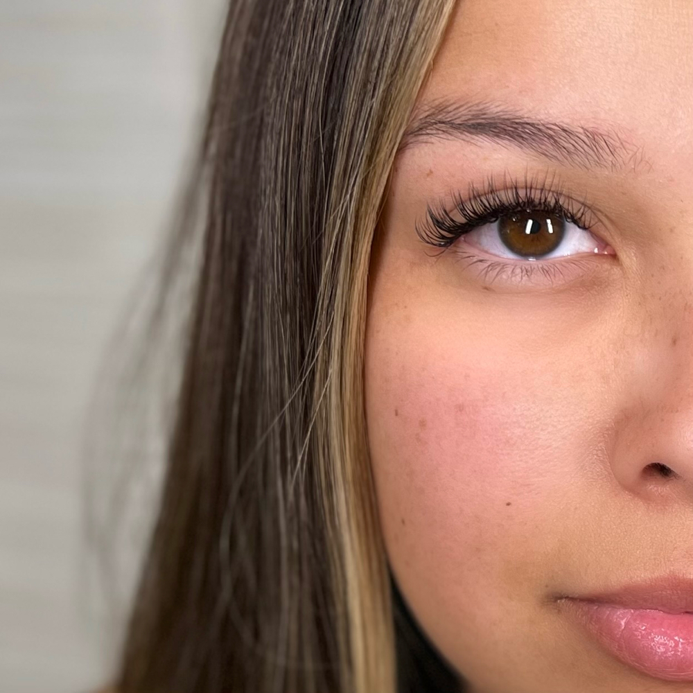 Classic Lash Installation