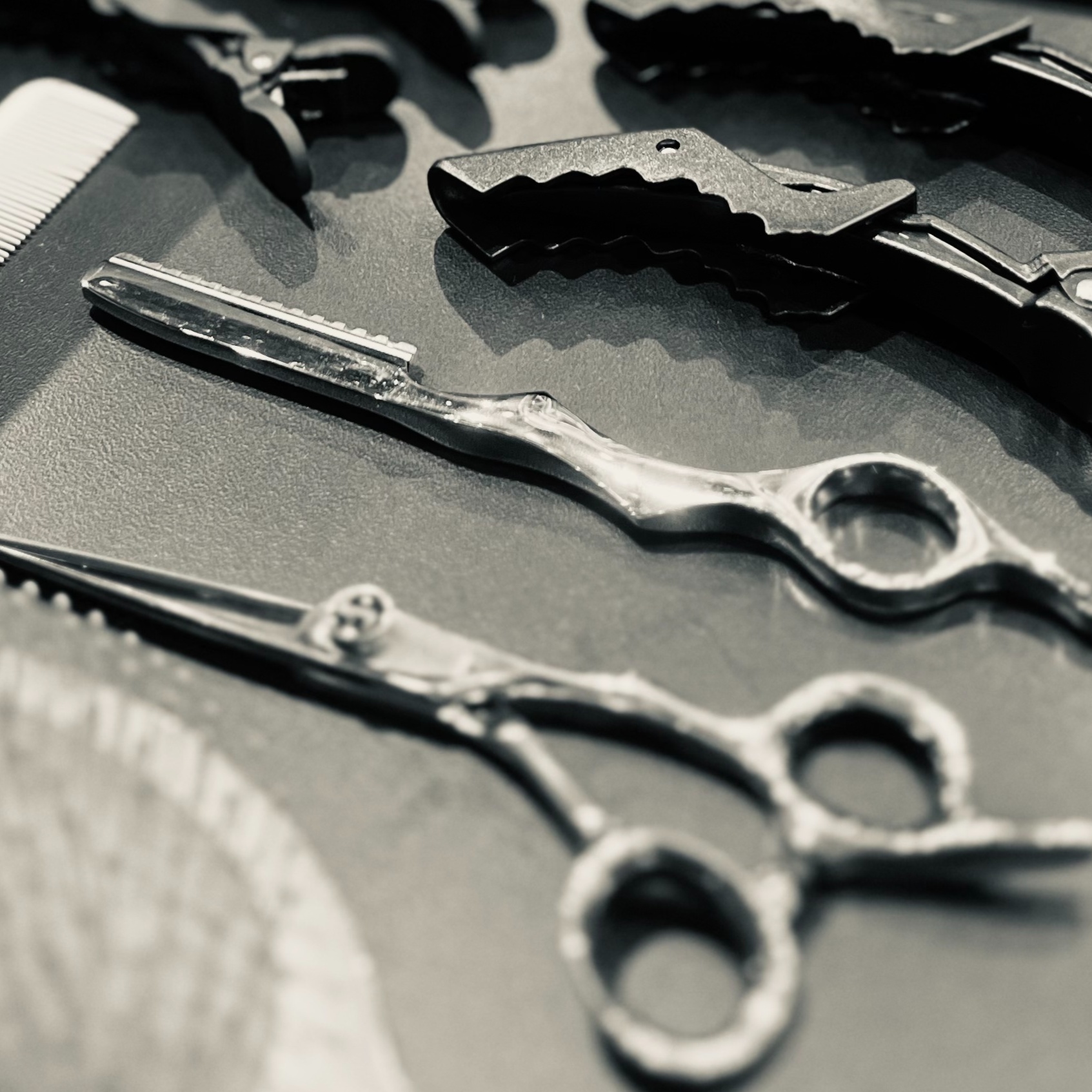 Long Haircut (below shoulders) at Tress & Treble in Marlboro, NY